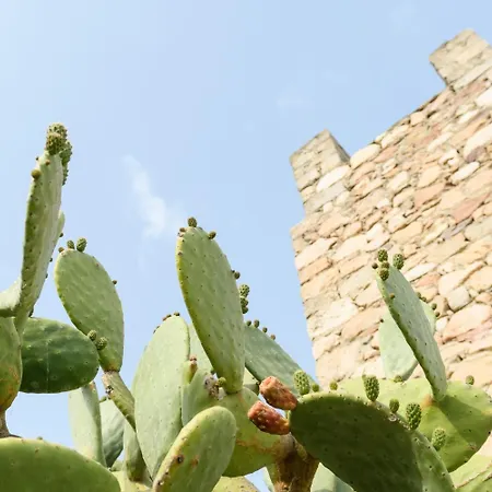 Notos Adamantas (Milos)